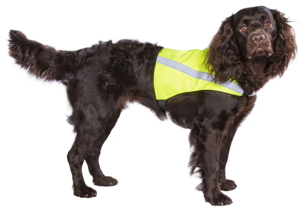 Best Friend dog high visibility vest