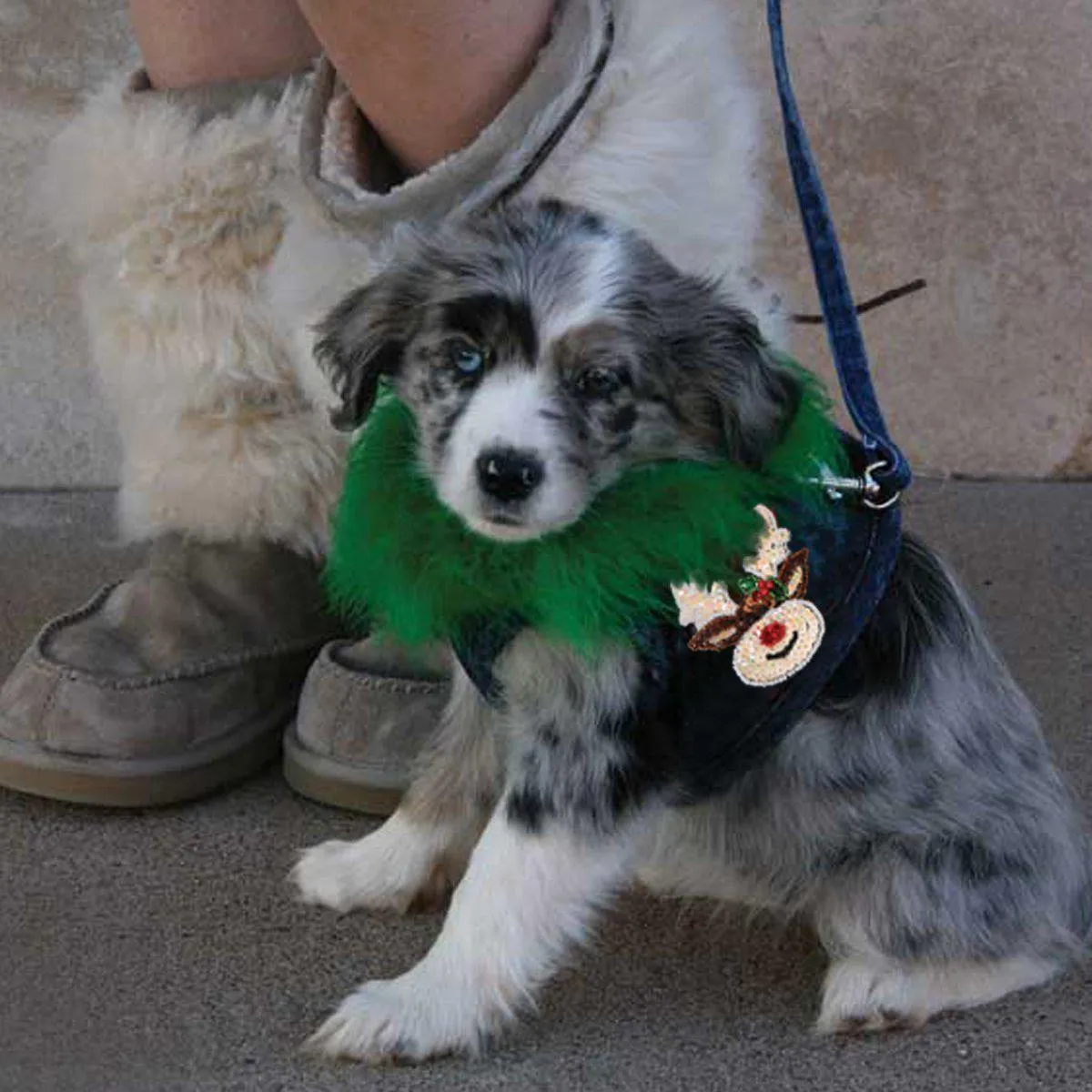 Sequin Patches for Hollywood Denim Dog Harness Vest